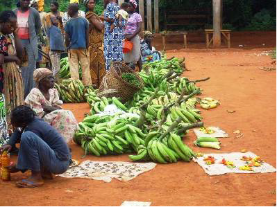 Angossas, le marché des vivres