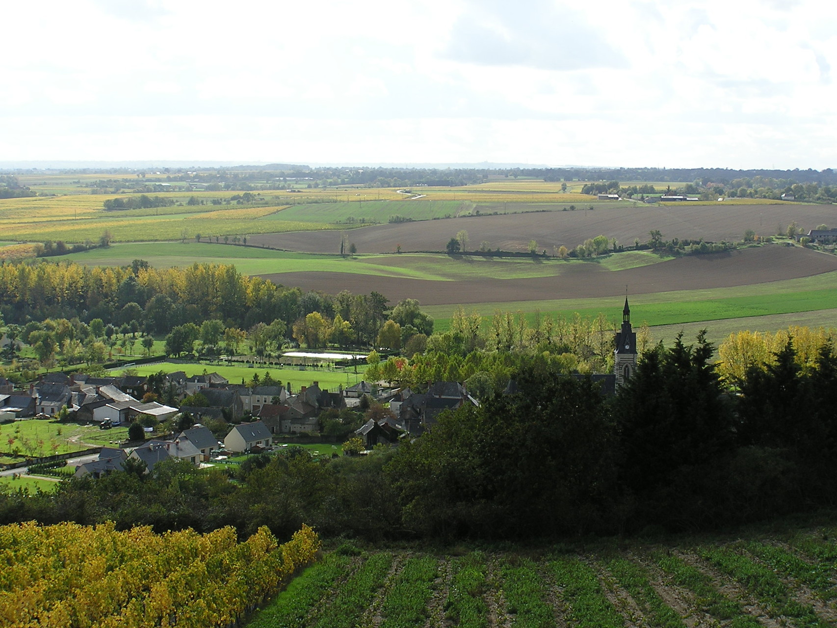 Village de St Aubin de Luigné (1200 hab.)