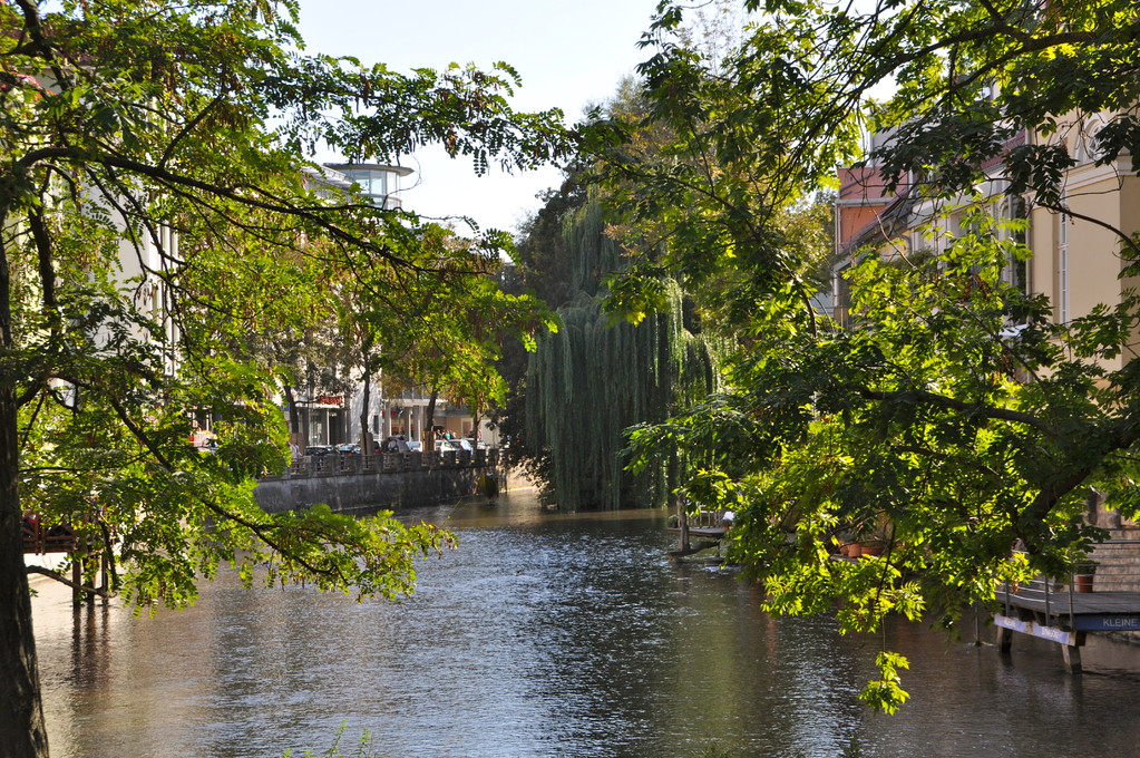 Impressionen aus Erfurt