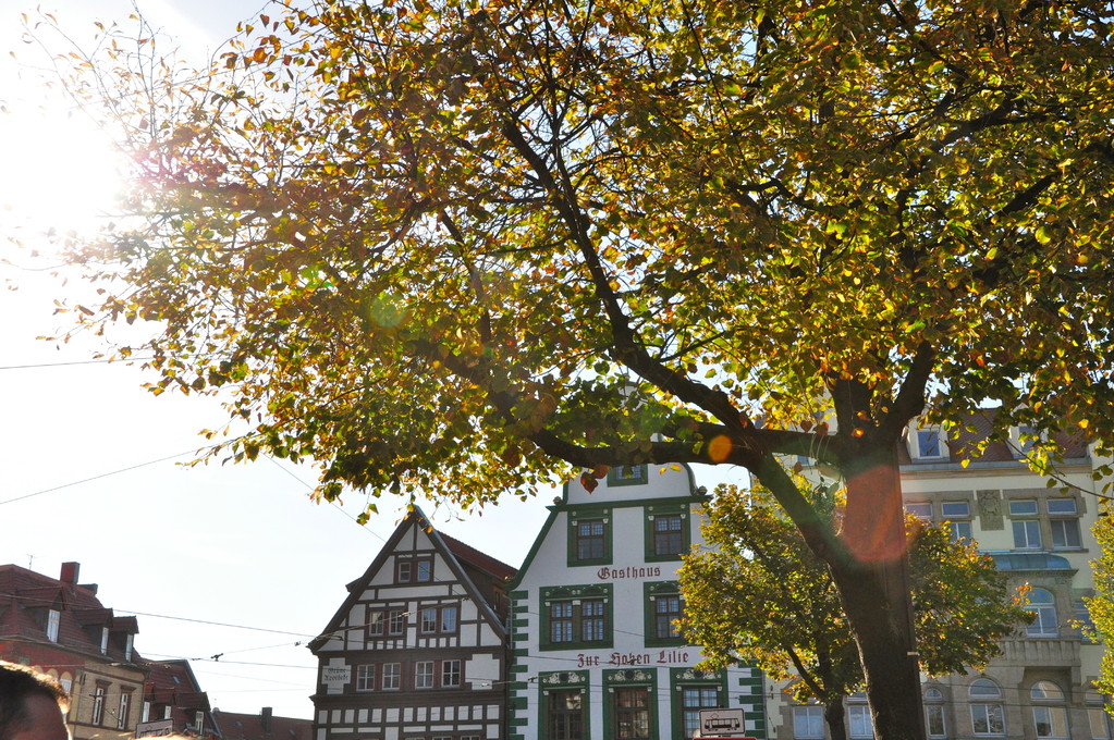 Impressionen aus Erfurt