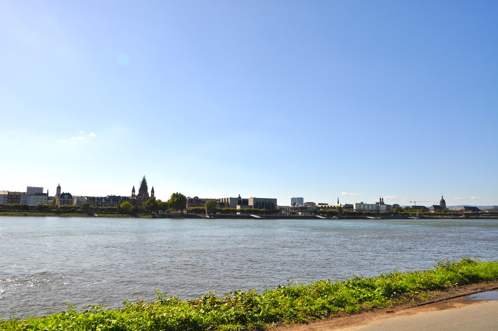 Blick von Kastel (c) Dombauverein Mainz