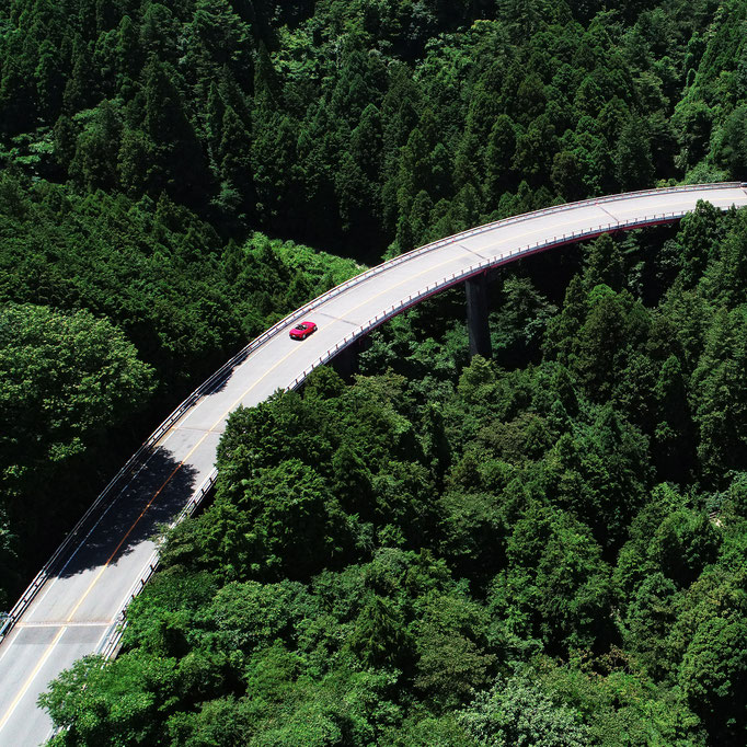 Ferrari Japan