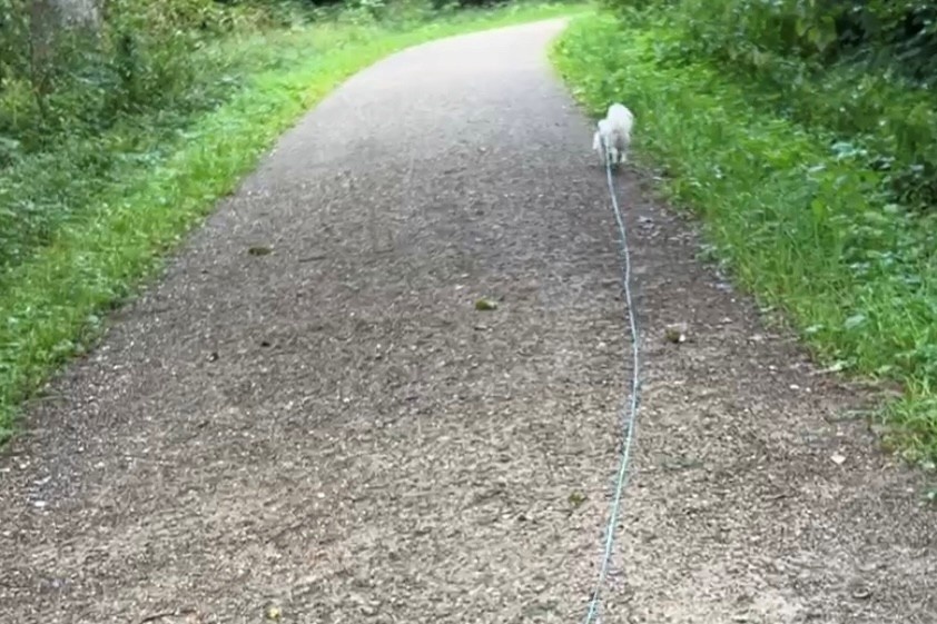 Ein Plädoyer für die Schleppleine