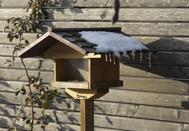 Der Garten als Winterbuffet für Vögel
