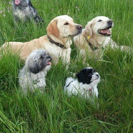 Gruppenfoto mit ihrer Schwester Keyko, Taliah und Kayen