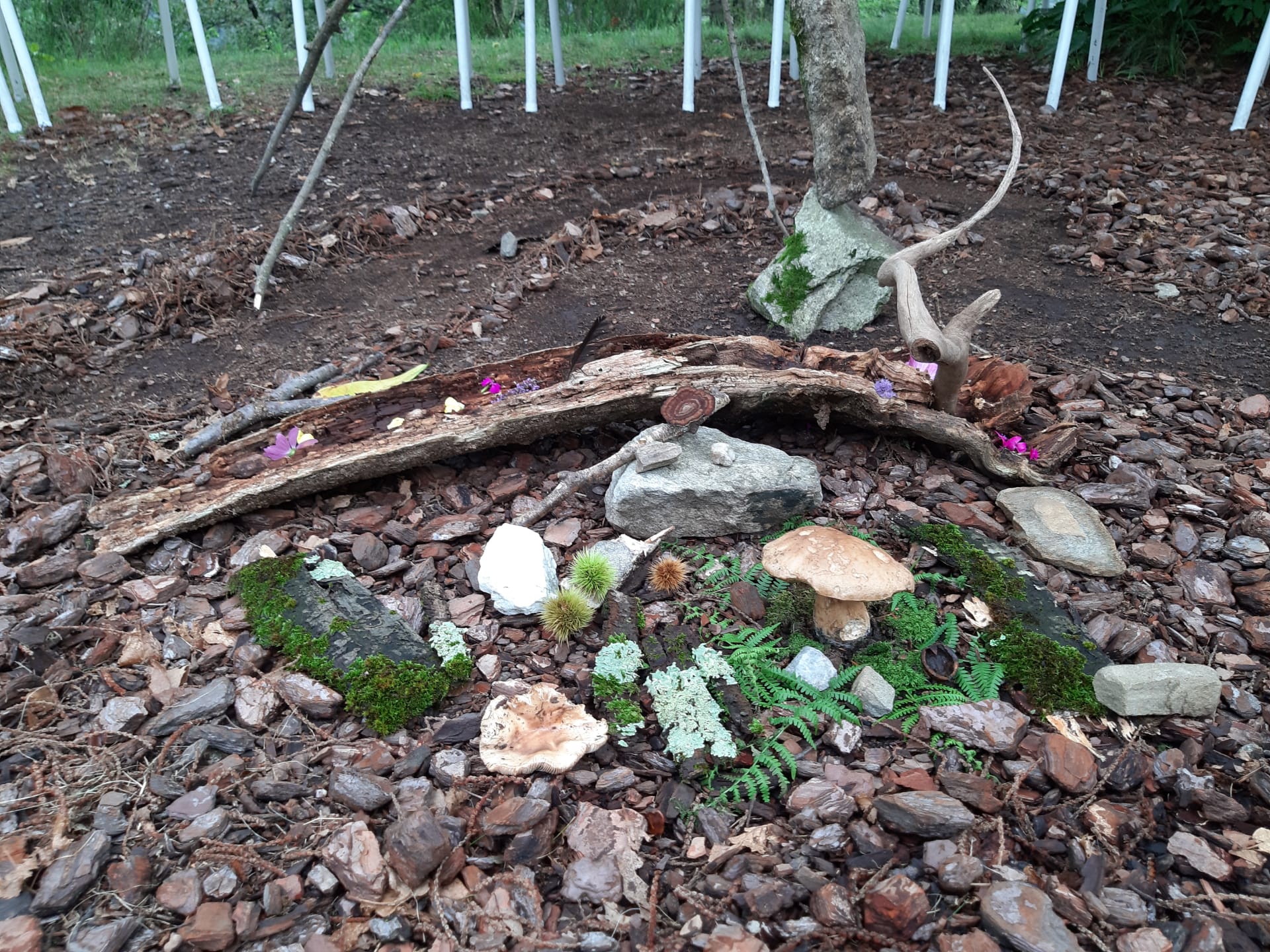 Sass da Grüm 2019 (Foto: Irene Siegl)