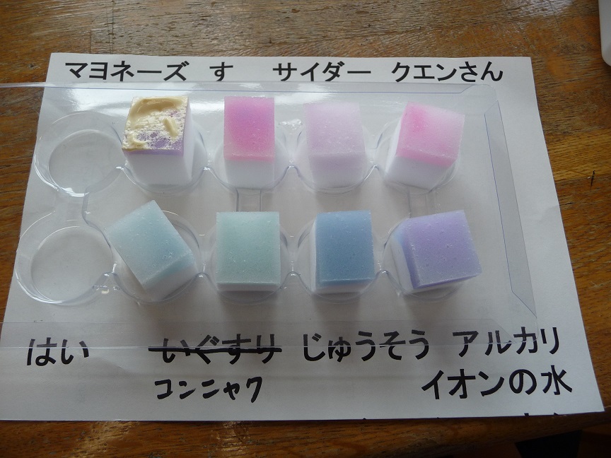 酸アルカリ おもしろ ふしぎ 実験隊 手作り実験工作隊 ハンドメイドサイエンスラボのサイトです