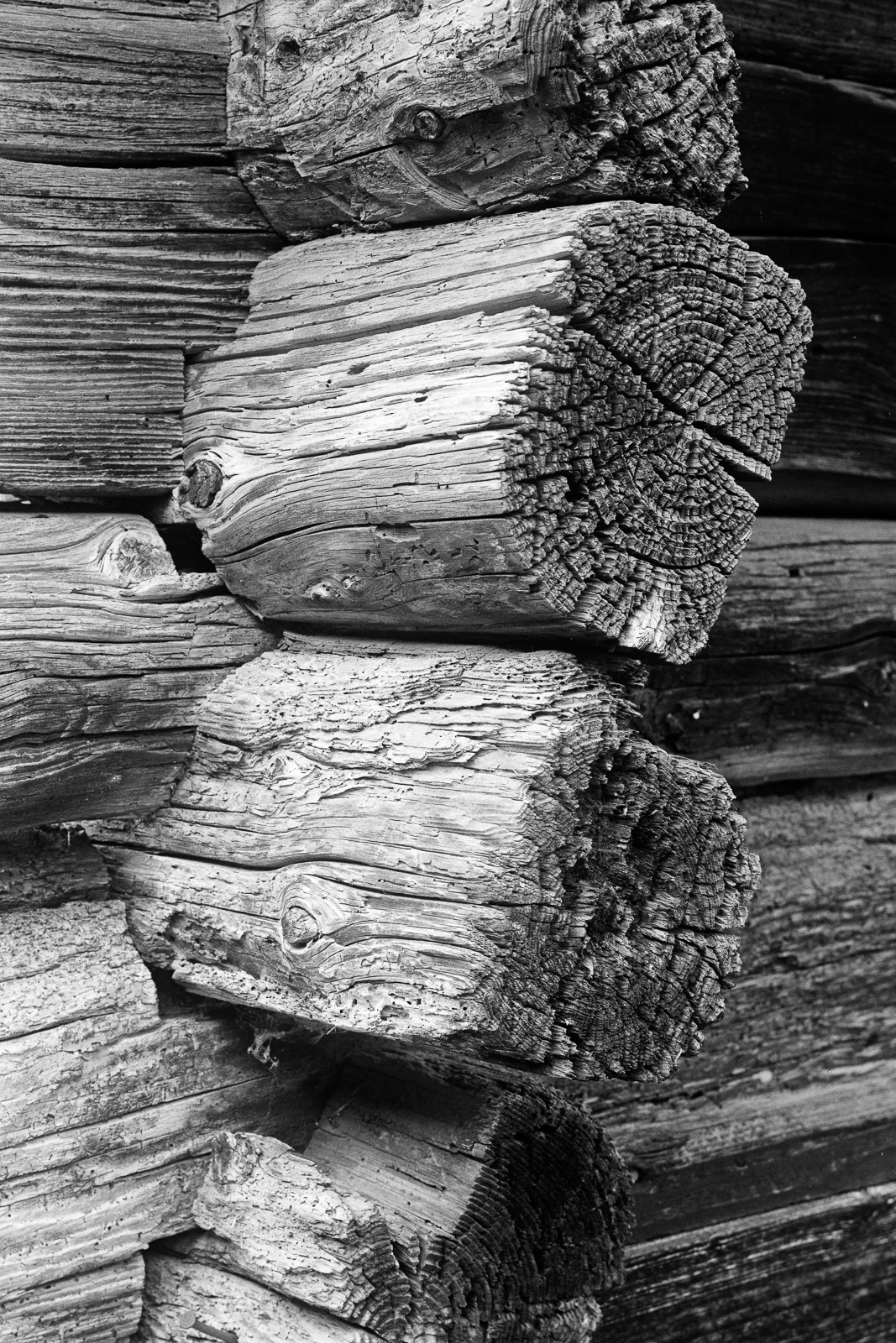 Timber shed, Italian Alps