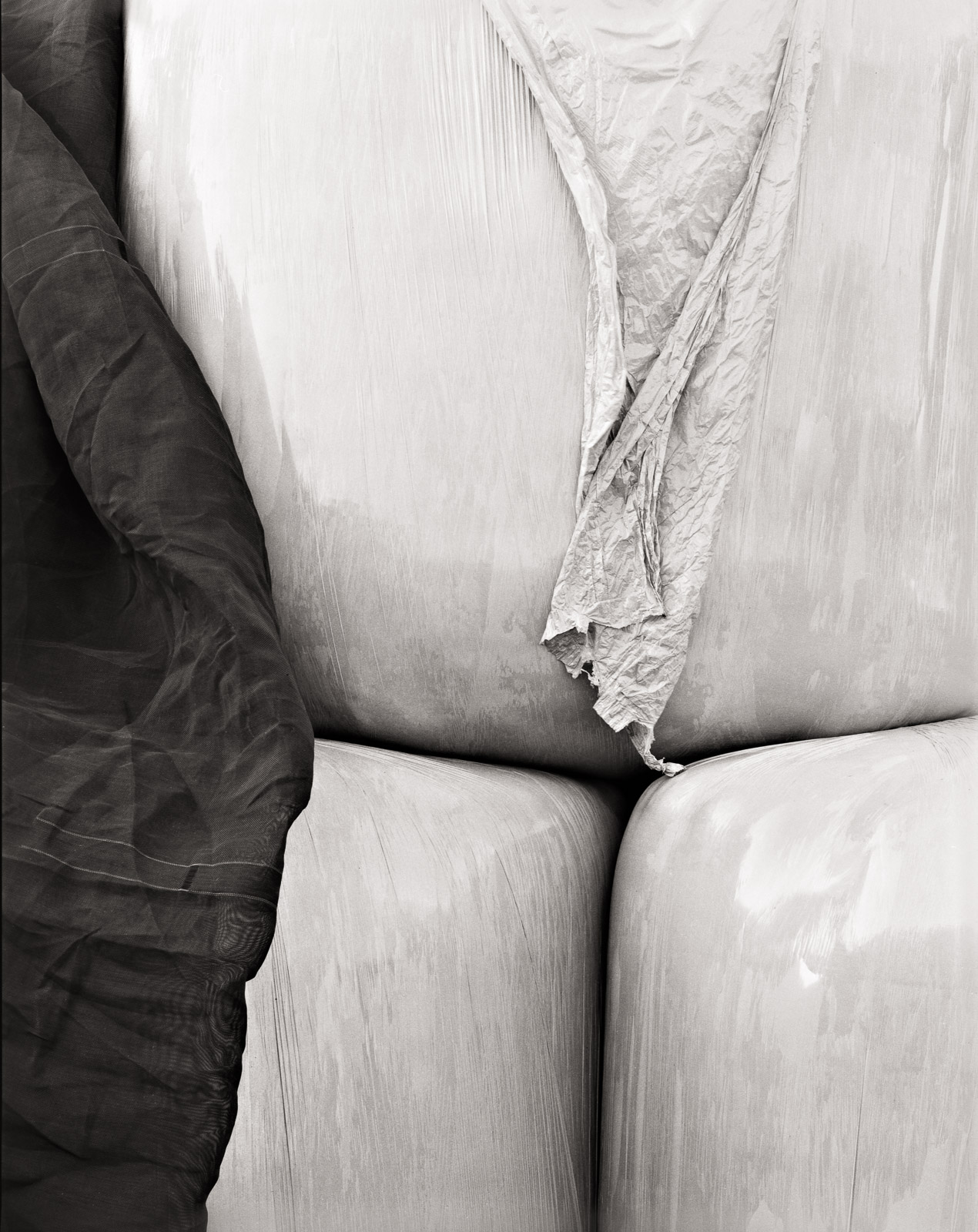 Tarp and bales, 2019