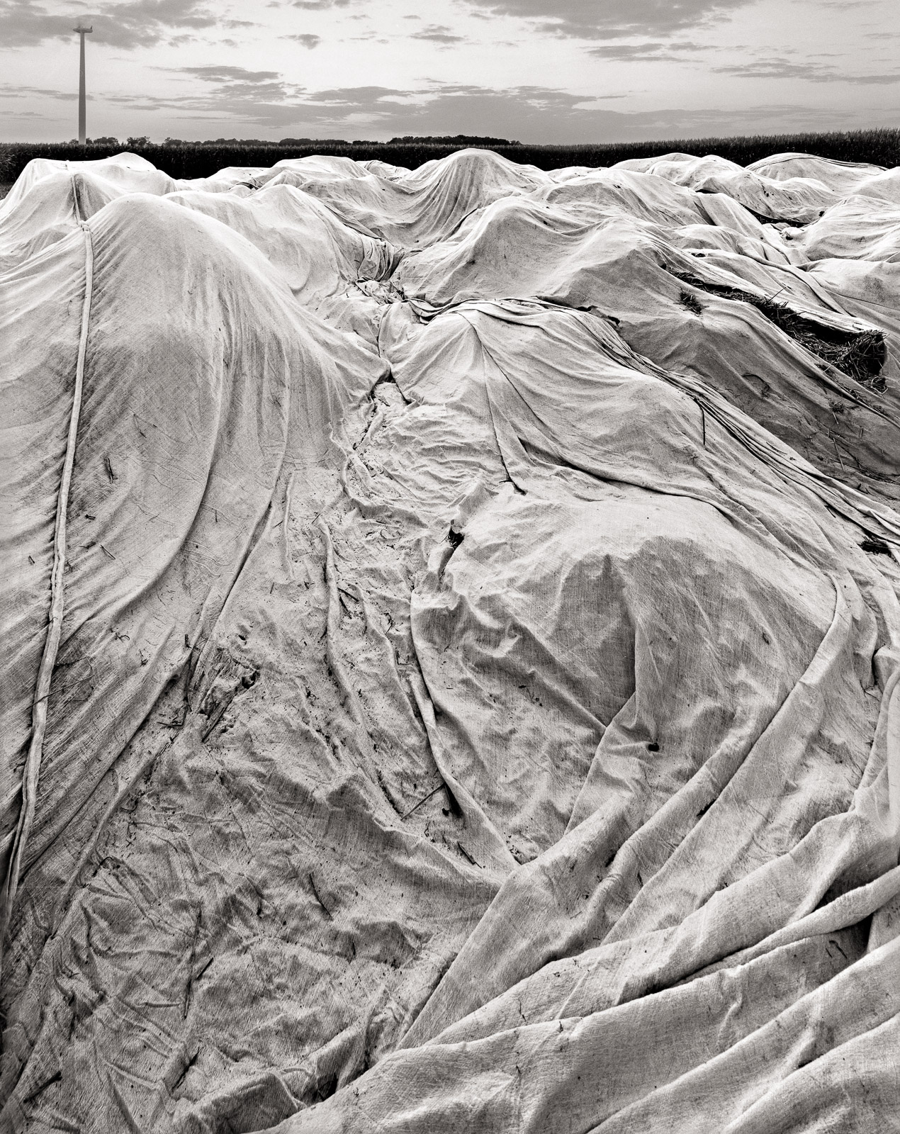 Tarp spread out over decaying hay, Schulenburg 2019