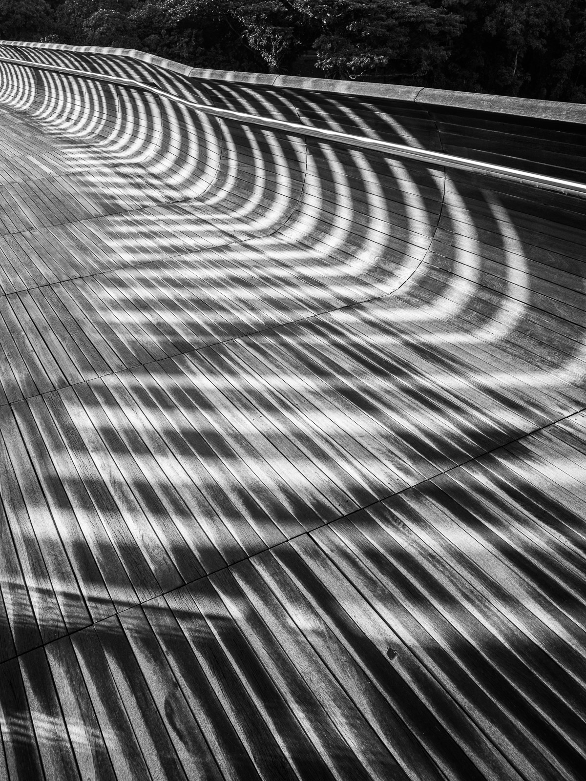 Henderson Waves Boardwalk, Singapore 2018