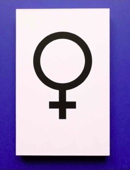 Nina Canell & Robin Watkins Amber. A Visual Anthology of the Contradictory Representation of the Female Body in the Electrical Age 2020, Rhombus Press