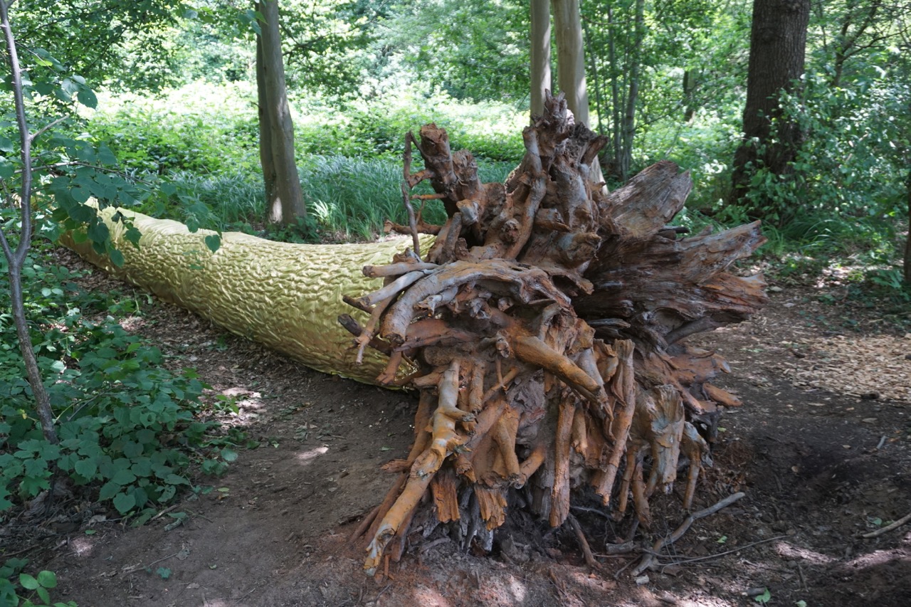 paradise lost im Stadtpark Grossenhain
