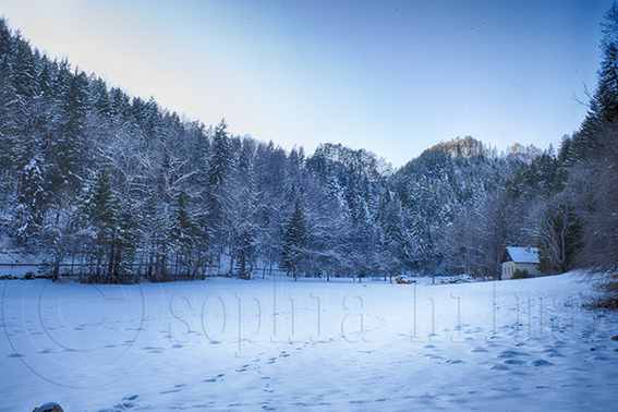 Kalte Rinne, Breitenstein, Lower Austria, Austria
