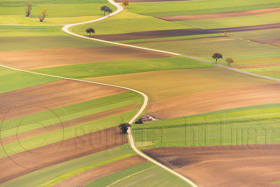 Agriculture, Lower Austria, Austria