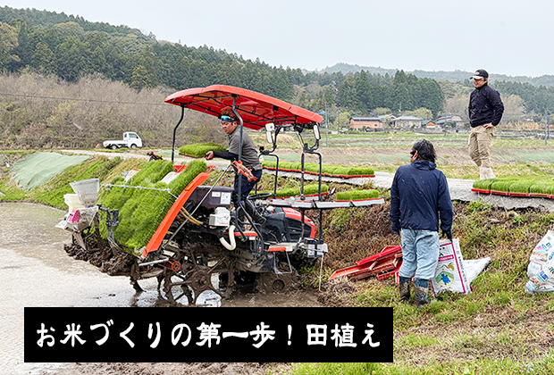 お米づくりの第一歩！田植え