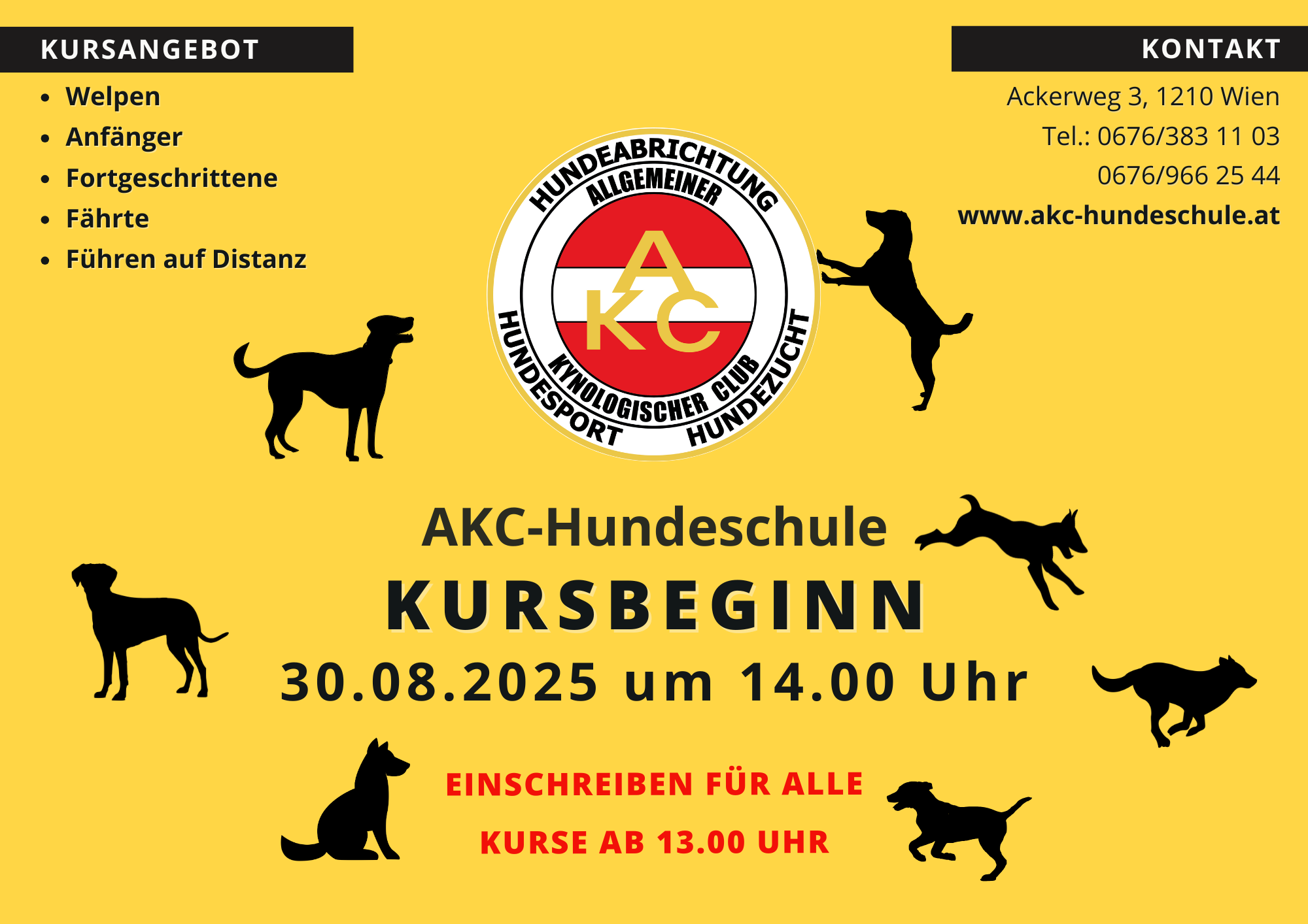 Herbst 2025 - KURSBEGINN