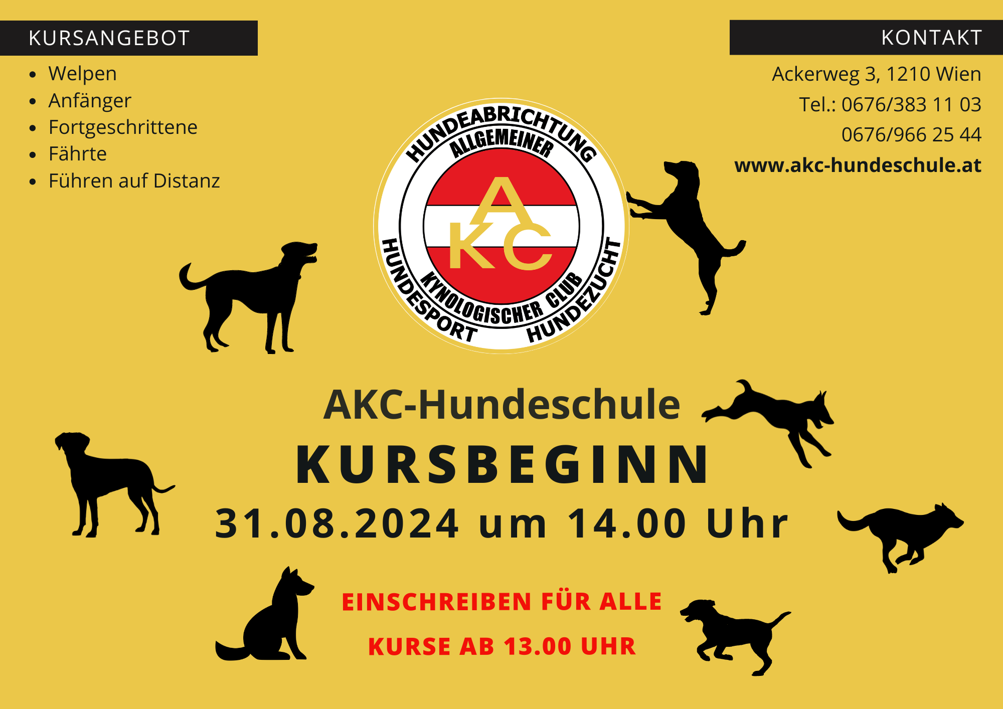 Herbst 2024 - KURSBEGINN
