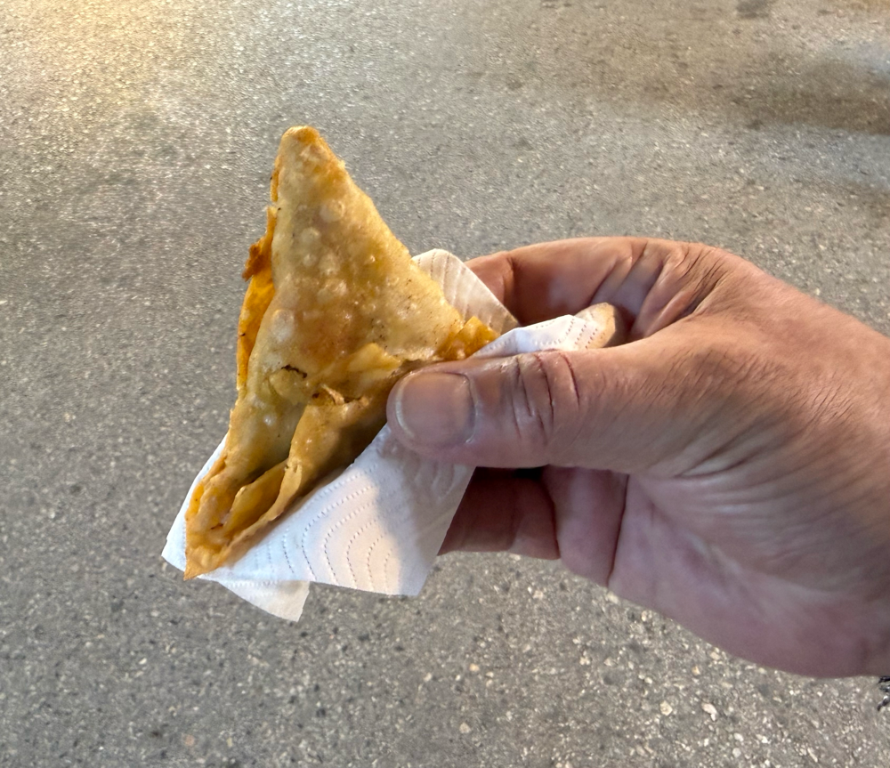 Samosa mit Gemüsefüllung