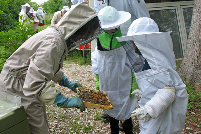 Beim Bienenlehrpfad in Börßum.