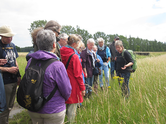 Eva Goclik erklärt die besondere Flora der Herzogsberge bei Cremlingen.