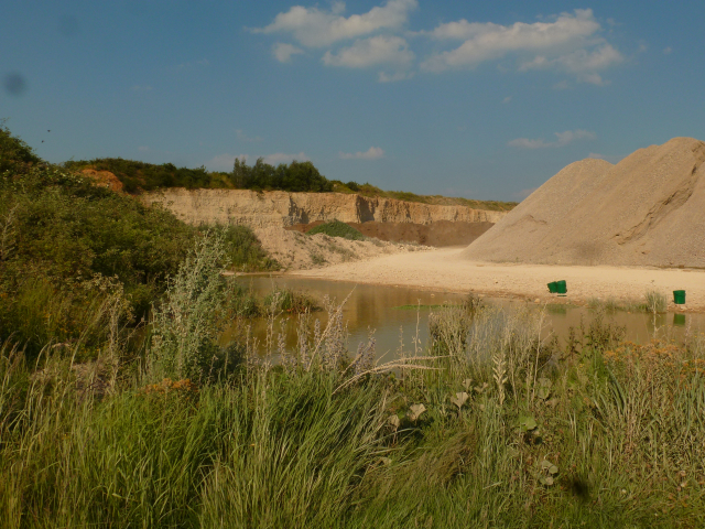 Wechselkrötenfreundliche Tagebaulandschaft