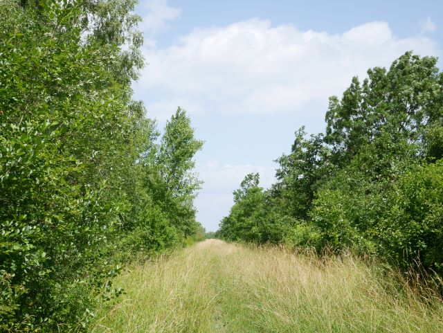 Der Weg auf dem Damm des Heerter Sees.