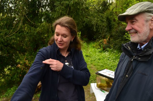 Franz Lambert untersucht eine Raupe, die sich bei Andrea Onkes wohlfühlt.