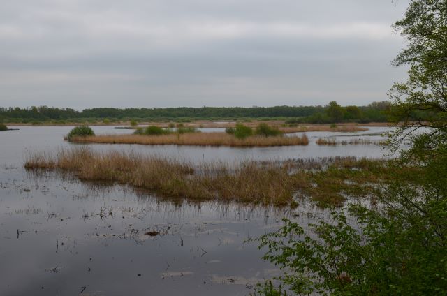 Blick vom NABU Aussichtsturm Schapenbruchteich