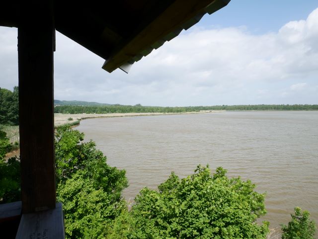 Blick vom Beobachtungsturm auf den See. Bei Wind trübt sich das Wasser durch die aufgewühlten Sedimente ein.