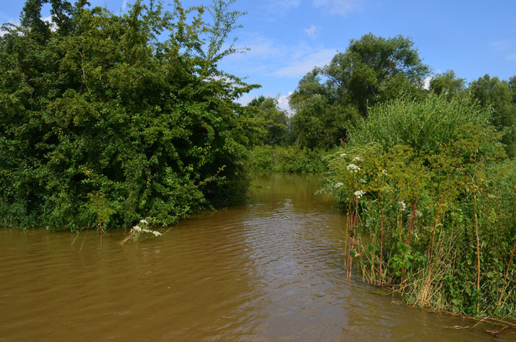 Blick in die hintere Wiese.