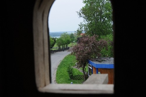 So können Dohle oder Turmfalken nach Norden sehen