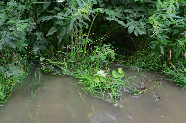 Das Wasser rauscht inzwischen von dem asphalterten Weg in unsere Fläche herunter