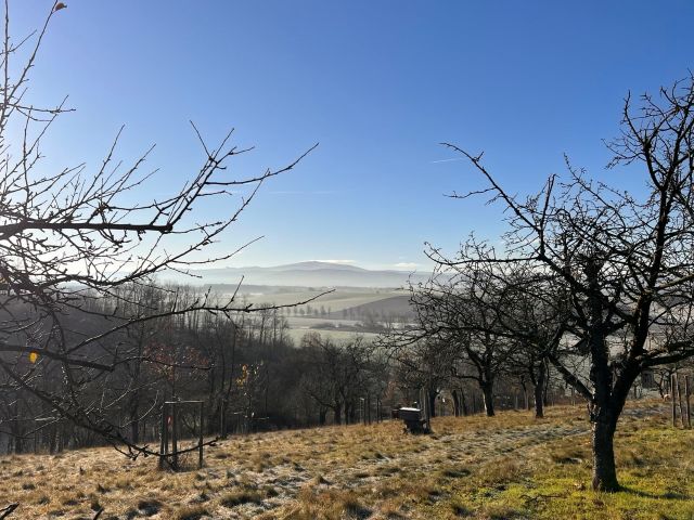 Blick auf den Brocken. Anja Bähne
