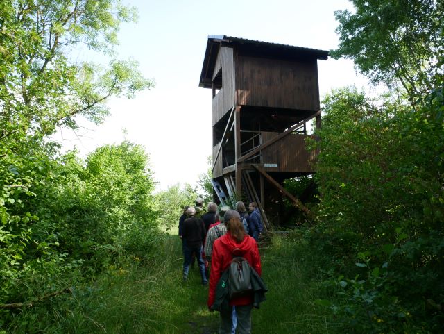 Der Beobachtungsturm an der südlichen Seite des Sees.