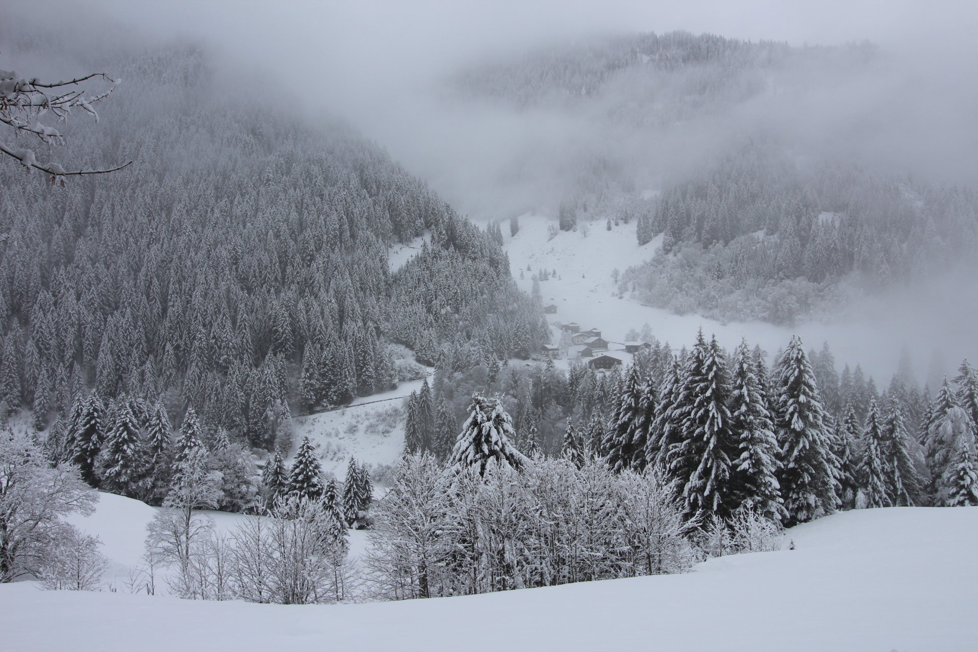 Maisäßlandschaft - Rüti