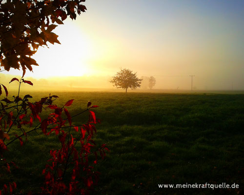 Herbstzauber für die Sinne, Herbstmagie, Kraftquelle, Genießen im Herbst