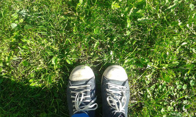 Schuhe im Gras