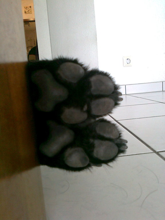 rat mal wer ich bin?