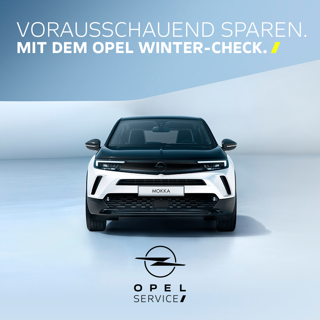 Service-Check für den Winter
