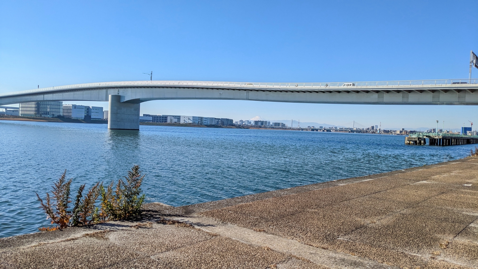 多摩川の橋プロジェクト始動！美しい風景と歴史を巡る冒険