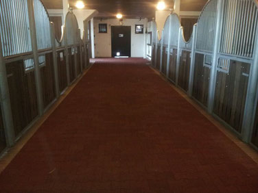 Rubber flooring for stable walkways - sagustu international