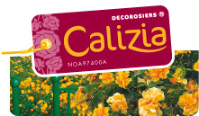 Producteurs Décorosiers et Rosiers