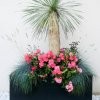Producteurs Décorosiers