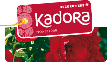 KADORA PRODUCTION EN cONTENEUR Pépinières Desprat