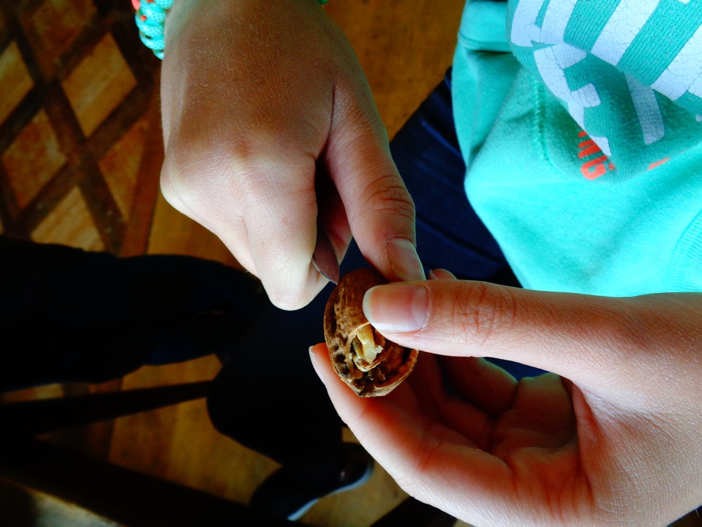 Kinderkurse, schnitzen, Handwerkskunst, Kunst, Kurs, Spiez, Holzflickwerk, Weiterbildung, Handwerk