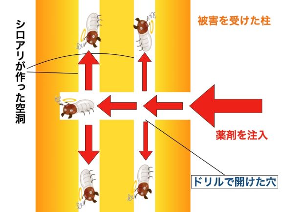 薬剤注入した時の、シロアリ被害を受けた柱の断面図