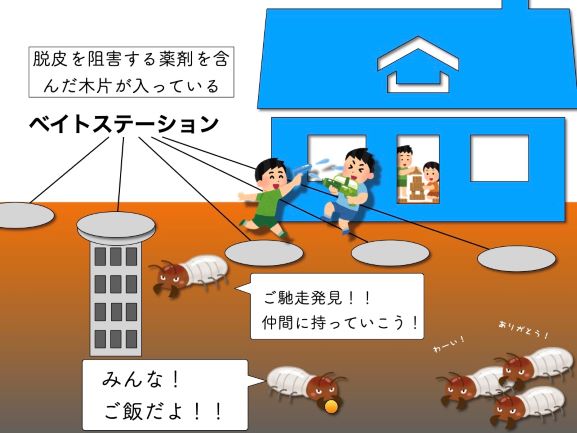 ベイト工法でシロアリ対策した家の断面図