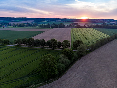 Sonnenuntergang in den Baumbergen