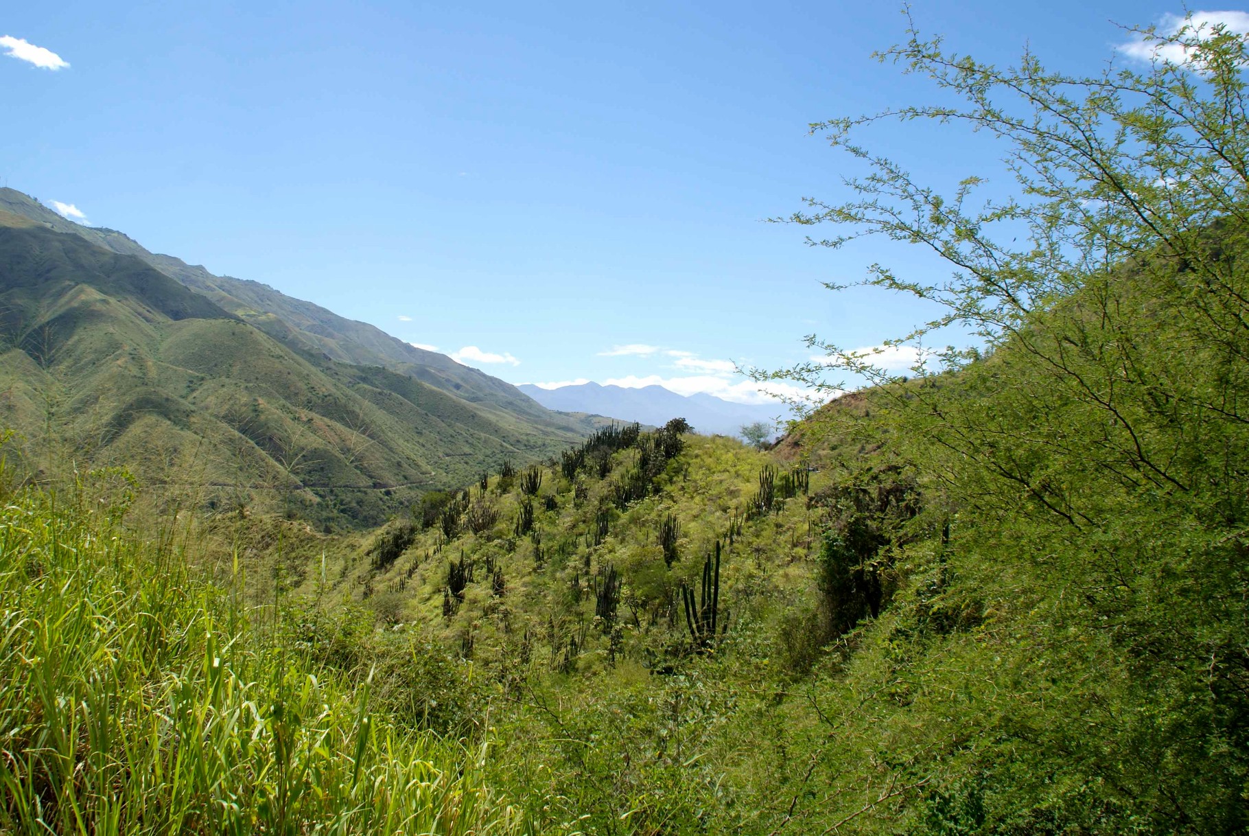 Colombie vitesse datant